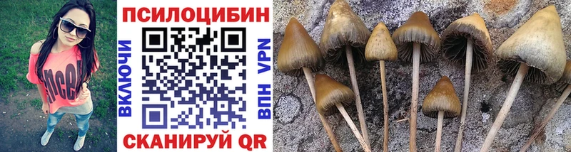 Галлюциногенные грибы мицелий как найти Ростов